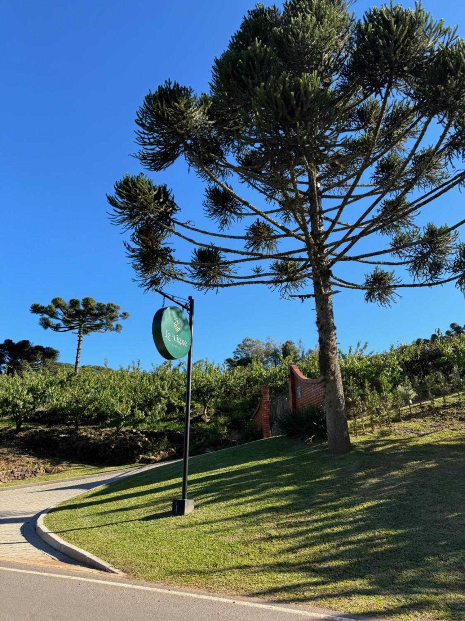 Cabanas Le Vigne Pinto Bandeira Exteriér fotografie