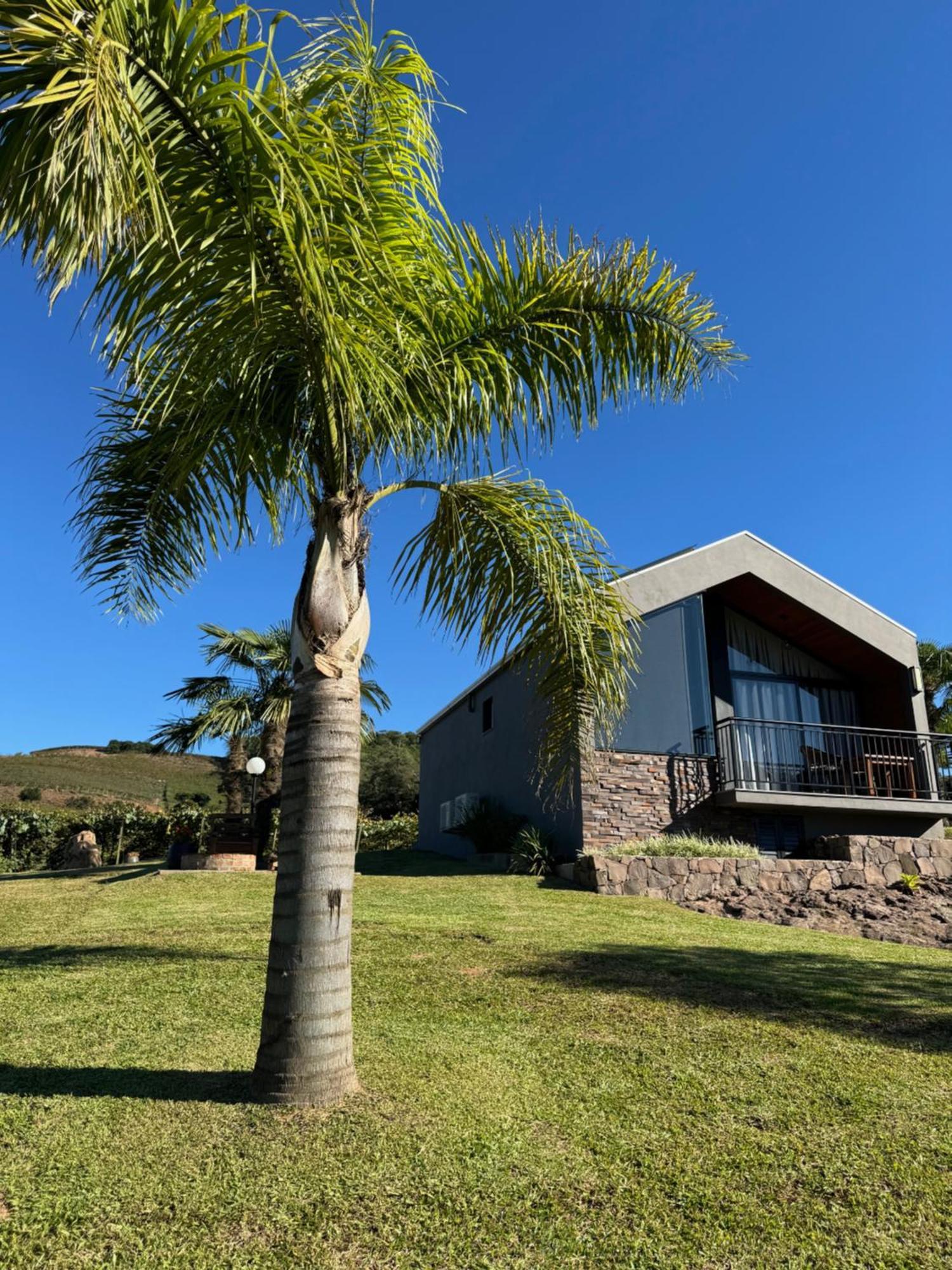 Cabanas Le Vigne Pinto Bandeira Exteriér fotografie