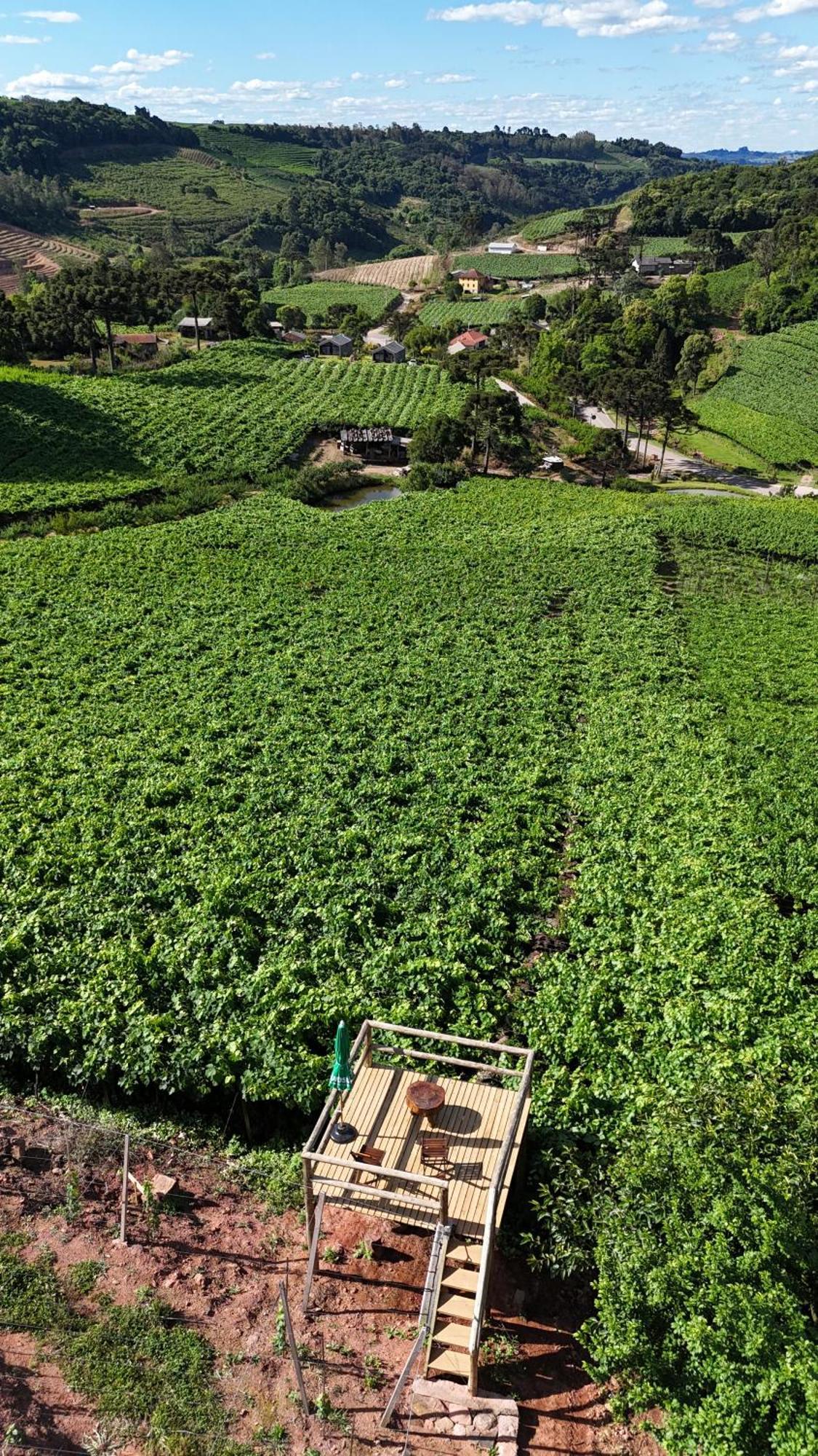 Cabanas Le Vigne Pinto Bandeira Exteriér fotografie