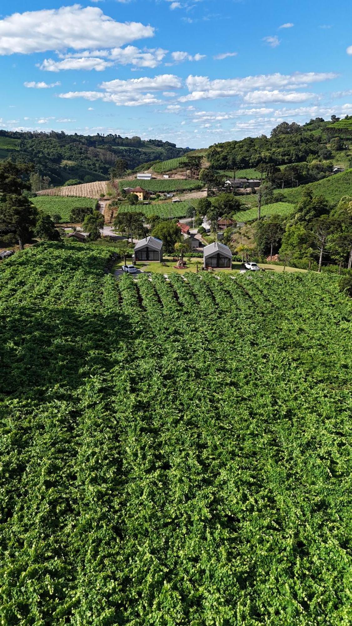 Cabanas Le Vigne Pinto Bandeira Exteriér fotografie